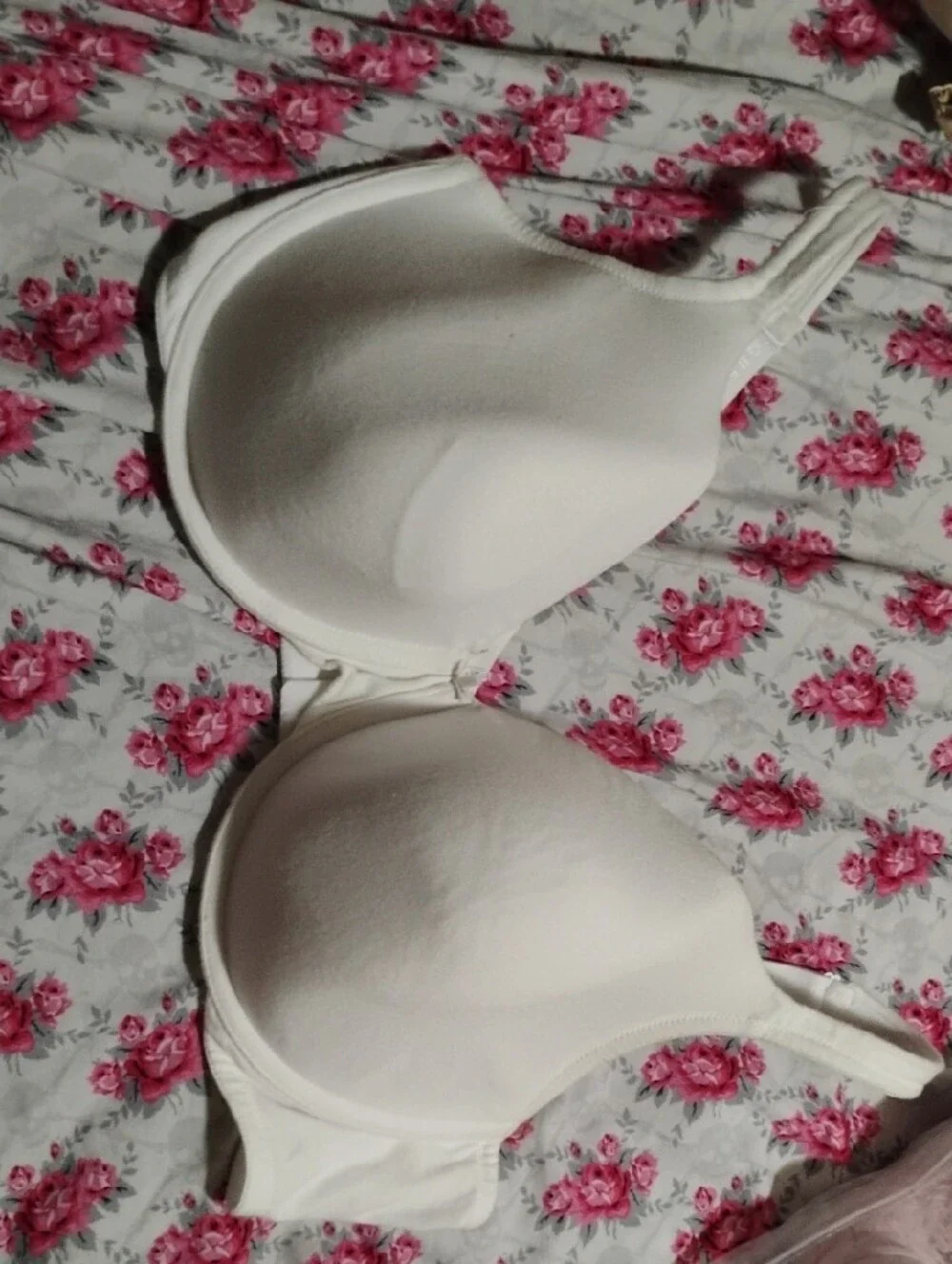 Cacique white lightly